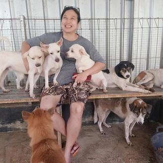 Una década salvando a perros de la muerte en Indonesia