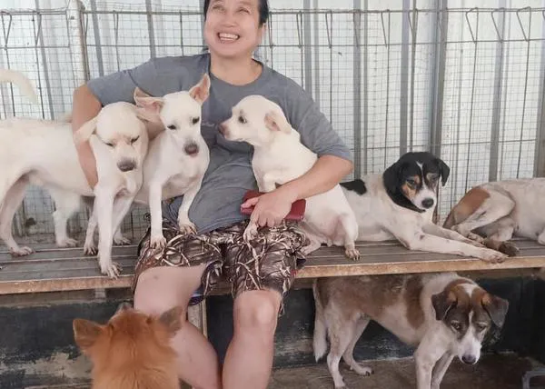 Una década salvando a perros de la muerte en Indonesia