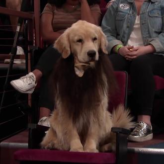 Conan O'Brien reemplaza a todos los humanos barbudos de …