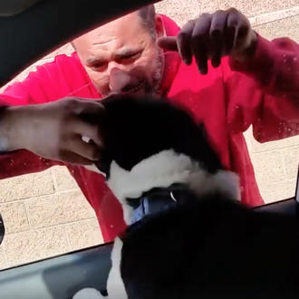 Cuando jodido idiota de perro quiere decir hay que ver …
