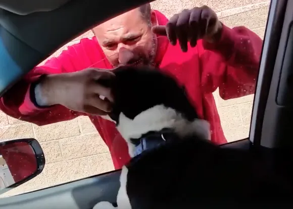 Cuando jodido idiota de perro quiere decir hay que ver lo que te quiero y el susto que me has dado