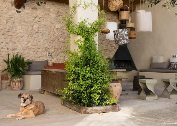 Sant Joan sin petardos: Alojamientos con encanto para escapar con los perros lejos del ruido