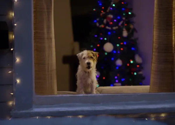 También en Navidad, sé más perro... serás más feliz :-)