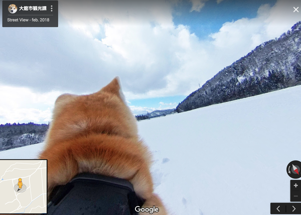 Google street view, versión perruna: 