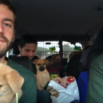 Un viaje perruno solidario y un tanto 