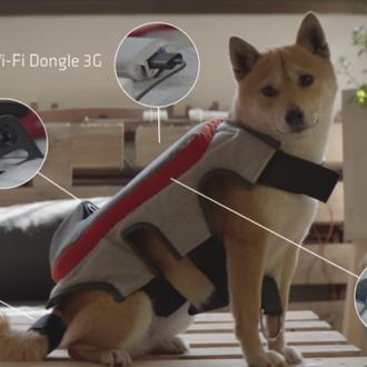 Un gadget permitiría a tu perro compartir sus momentos felices …