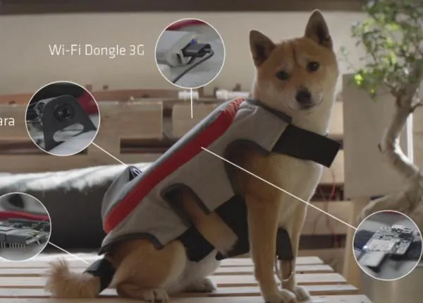Un gadget permitiría a tu perro compartir sus momentos felices en redes sociales... automáticamente