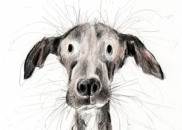 Los (maravillosos) retratos de perros llenos de pelos, energía feliz y ternura, obra de Catherine Rayner