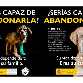 El abandono animal tiene consecuencias dramáticas para miles de perros …