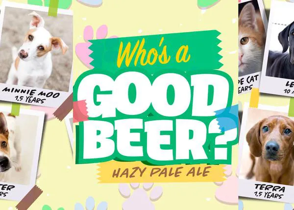 Cervezas que ayudan a las protectoras y además fomentan la adopción de perros y gatos, ¡gran idea!
