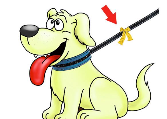 Los perros amarillos: una iniciativa extremadamente útil que puede ayudar a canes y a humanos