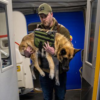 El emocionante último viaje en avión de una perra enferma …