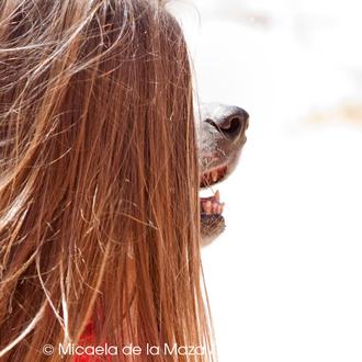 XVI Concurso de perros sin raza de ANAA, ¡qué cantidad …