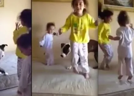 Dos churumbeles enseñan a su perro a saltar en la cama... ¡vivan los canes niñera!