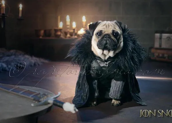 Los perros también se preparan para la llegada del invierno, ¡para la última temporada de Juego de Tronos!