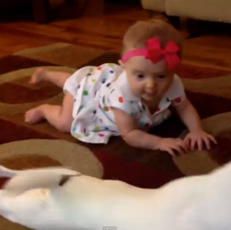 Clase de perruneo para bebés: un jack russell enseña a …