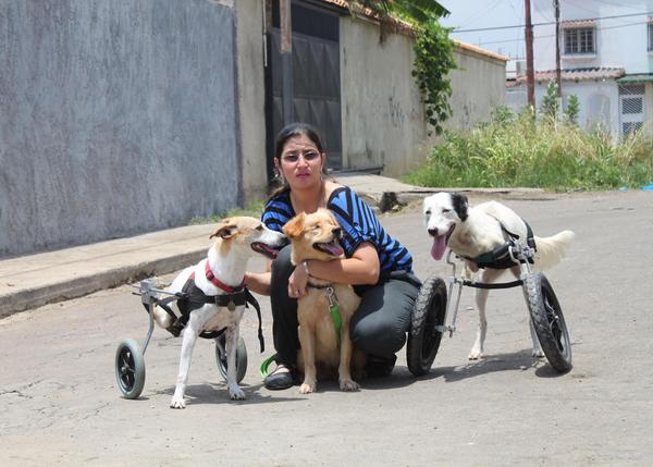 Protectoras en alerta sobre sacrificio animal por Halloween