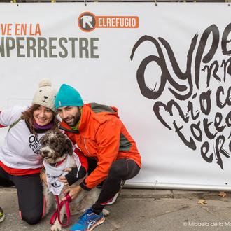 San Perrestre en Madrid y San Silvestre Canina en Gijón …
