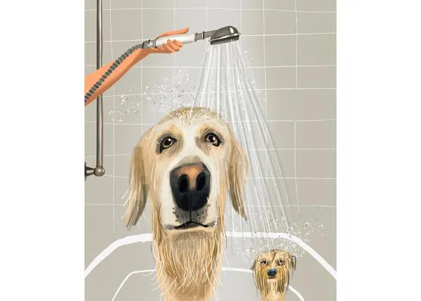 Los coloridos y vibrantes perros de Mark Ulriksen, autor de muchas de las icónicas portadas caninas del New Yorker