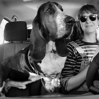 Paseos en coche con un Basset muy cool: la banda …