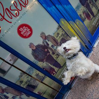 Concurso de cine: ¡consigue entradas dobles para disfrutar de 