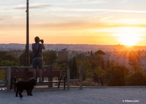 Una familia recibirá una indemnización de 5.000 euros por el sufrimiento causado tras el atropello mortal de su perro