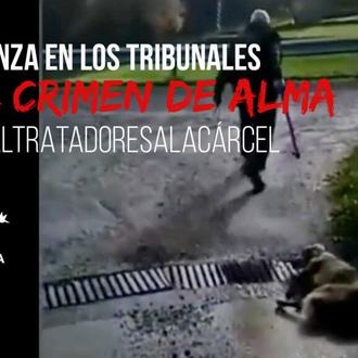 PACMA sigue luchando por llevar a la cárcel al cazador …