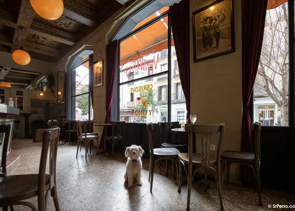Estupendos bares y restaurantes dog friendly para la ruta del pincho de tortilla con perro, ¡también tortillas veganas!