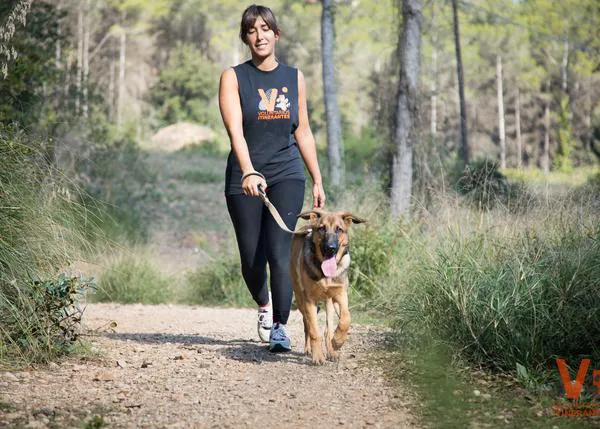 Voluntarios Itinerantes necesita ayuda para comprar una furgoneta con la que ayudar a más protectoras