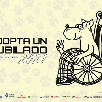 #AdoptaUnJubilado: llega el nuevo calendario solidario de Héroes de 4 …
