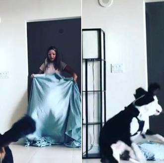 Las mejores versiones fallidas del viral perruno del verano: #whatthefluff