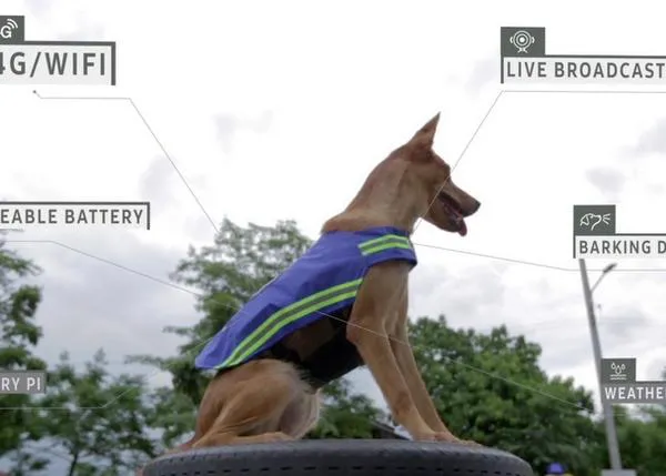 La tecnología que convierte a perros 
