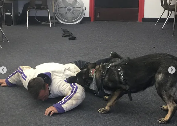 En EEUU entrenan a perros para intervenir en caso de un tiroteo escolar