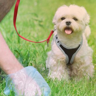 El Ayuntamiento de Galapagar, en Madrid, multa a un vecino …