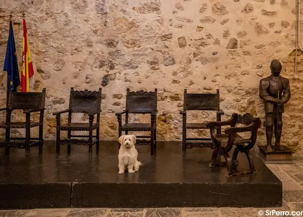 Sanlúcar con perro: planes foodie, planes culturales y paseos bonitos ¡Yes we CAN!