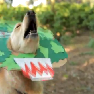 Parque Jurásico, Harry Potter y otras pelis... en versión perruna