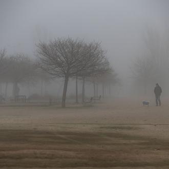 El duelo por un animal puede ser tan profundo como …