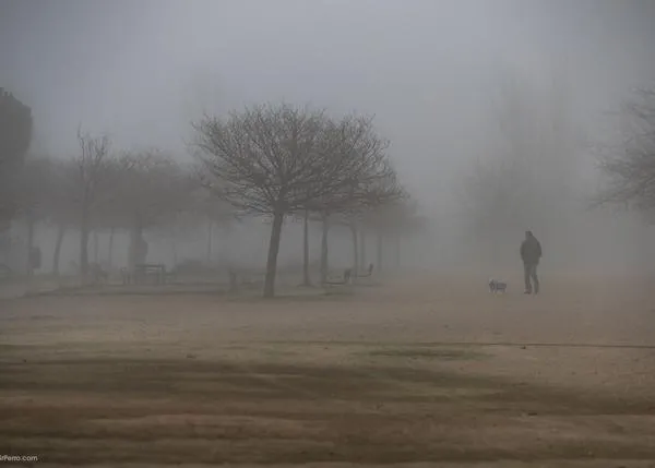 El duelo por un animal puede ser tan profundo como el que se siente por una persona, según un nuevo estudio