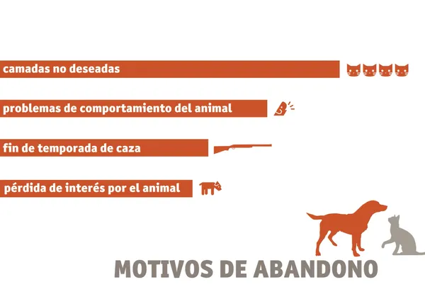 El abandono animal en España es un problema mucho mayor de lo que se calculaba, confirma el nuevo estudio de Fundación Affinity
