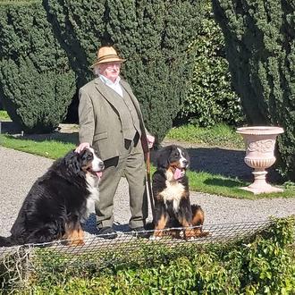 Los perros del Presidente de Irlanda sí que saben cómo …