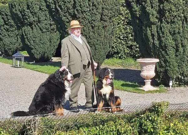 Los perros del Presidente de Irlanda sí que saben cómo alegrar una rueda de prensa