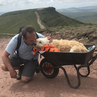 Un último paseo juntos: un hombre lleva a su can …