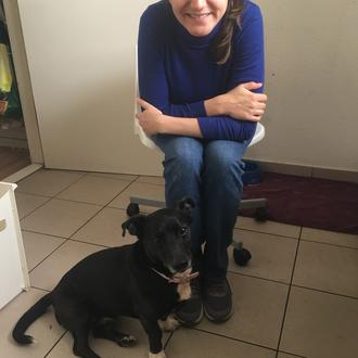 La familia de Chispa busca desesperadamente a su perro al …