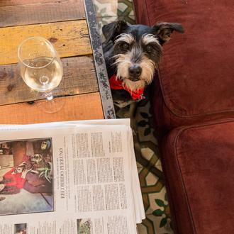 10 lugares clave para un recorrido perruno por Madrid: SrPerro …