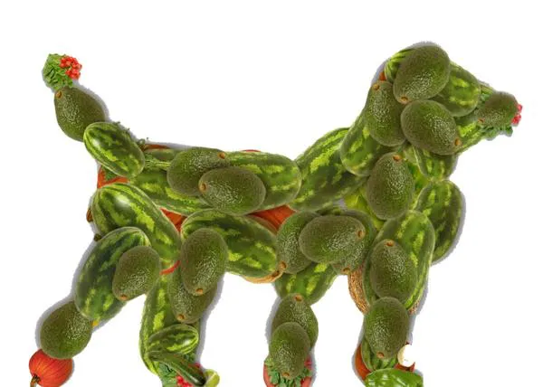 Perros veganos, posible pero ¿recomendable?