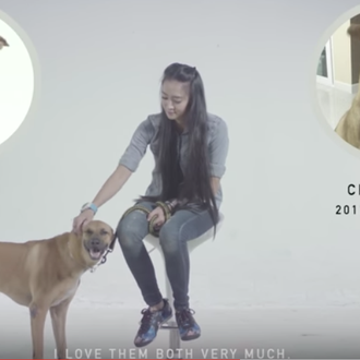 Una novedosa y peculiar iniciativa para fomentar la adopción de …