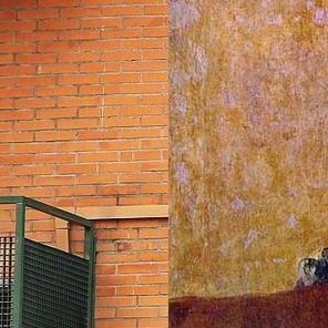 También los científicos critican el sacrificio de Excalibur, el can …