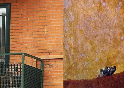 También los científicos critican el sacrificio de Excalibur, el can al que nadie olvida