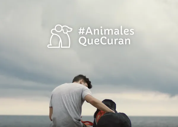 ¿Puede un perro realmente ayudar a un joven en situación de riesgo? La (preciosa) historia de Bau y Raúl, #AnimalesQueCuran