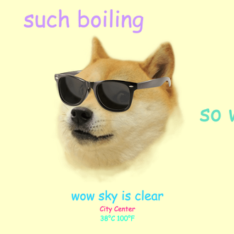 La perra del tiempo funciona casi casi como el hombre …